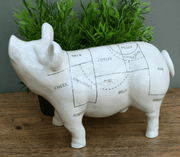 Ceramic Pig